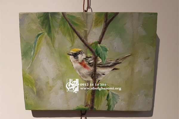 آموزش نقاشی هایپر رئال در کرج